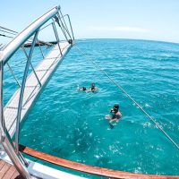 Water Sports