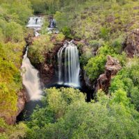 Tours & Sightseeing