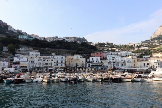 From Sorrento: Capri and Anacapri tour with Faraglioni cruise