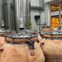 Wine Tasting & Winery Tours
