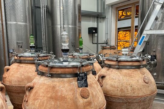 Tasting Unearthed Wine Tour and Explore Vineyard Lunch Included