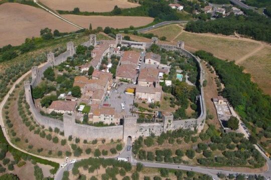 From Florence to Siena - San Gimignano & Pisa by private minivan