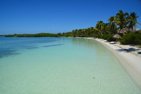 Private Beach Escape! Isla Contoy and Isla Mujeres with Snorkeling
