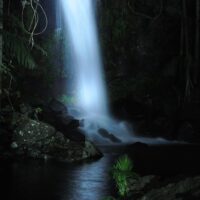 Night Tours