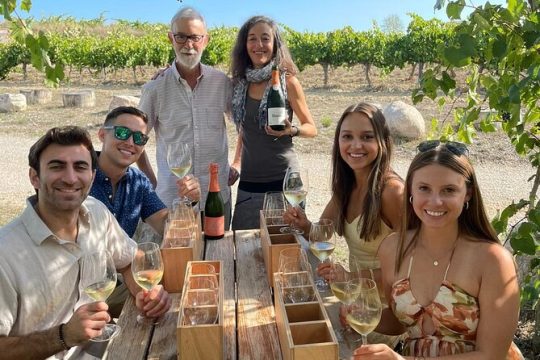 Barcelona: 3 Wineries in one-day, with hotel pick up and lunch