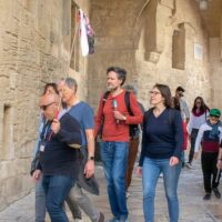 Private & Custom Tours