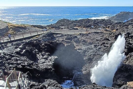 Escape Sydney: Sea Cliff Bridge, Blowhole, Beaches and Farmlands