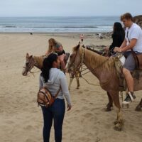 Hop-on Hop-off Tours