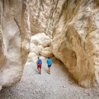 Hiking & Camping