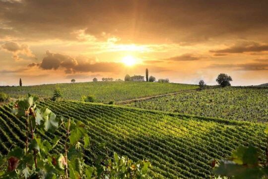 Montepulciano and Pienza Tuscany Wine&Cheese Fullday from Rome