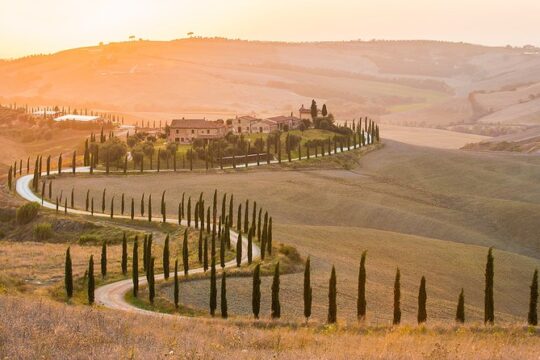 Montepulciano and Pienza Tuscany Wine&Cheese Fullday from Florence