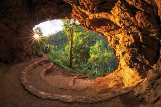 Morialta Wilderness and Wildlife Hike