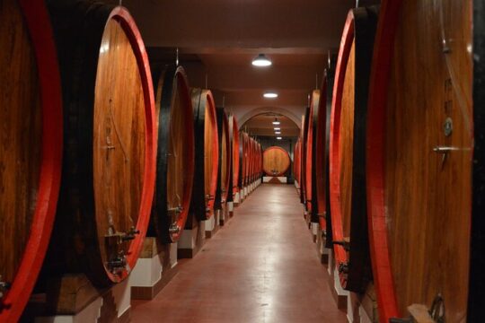 Pagus Wine Tours® - Soave and Amarone - Half day wine tour