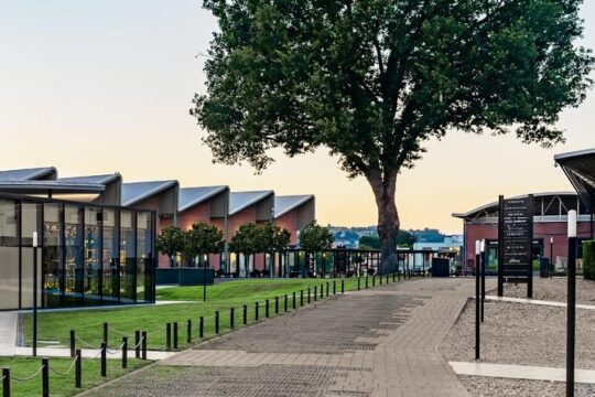 Private Shopping Tour to The Mall Outlet from Rome