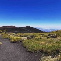 Full-day Tours