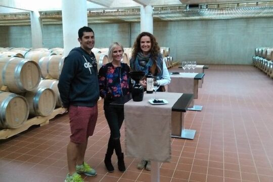 Small Group Tour - Ribera del Duero Super taster with lunch
