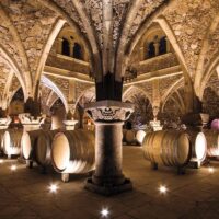 Food, Wine & Nightlife