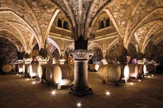 Provence Wine Tour - Private Day Tour from Cannes