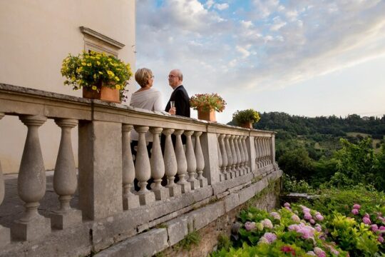 Visit with Owners and glass of wine to Villa Valmarana ai Nani