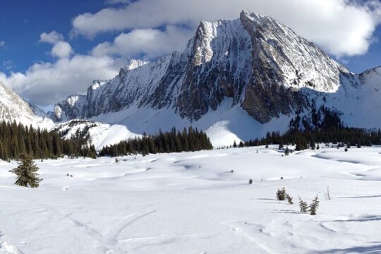 Snowshoe in Kananaskis Country