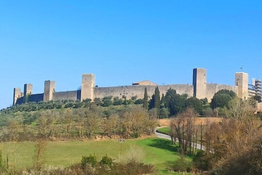 Romantic Tour of Chianti (with lunch and visit to two wineries)