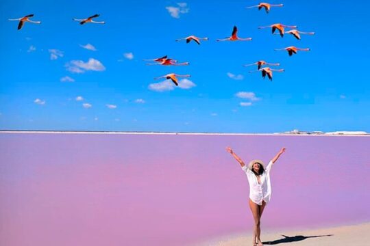 Tour Las Coloradas