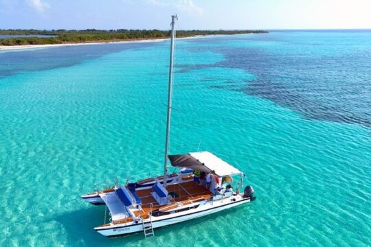 4 Hours Experience the turtle sanctuary on La Chula Catamarán