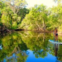 Glass Bottom Boat Tours
