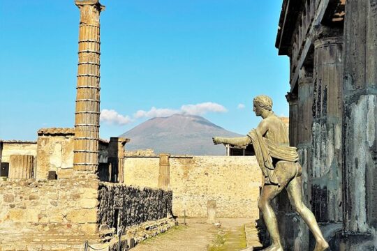 Pompeii, Vesuvius & wine tasting from Positano all inclusive
