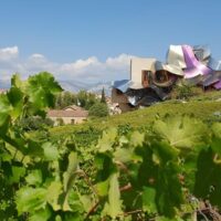 Food, Wine & Nightlife