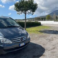 Transfers & Ground Transport