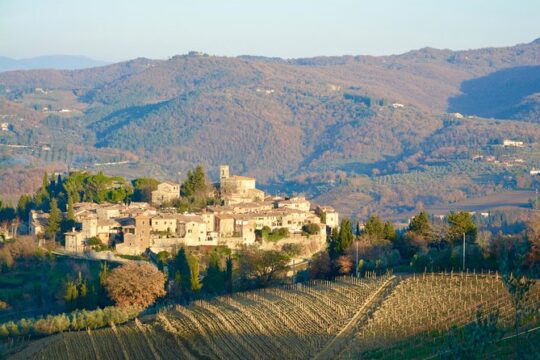 Private Tour: Chianti Region Tour by Minivan