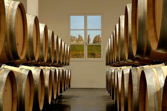 Saint-Emilion Private Half Day Wine Tour from Bordeaux