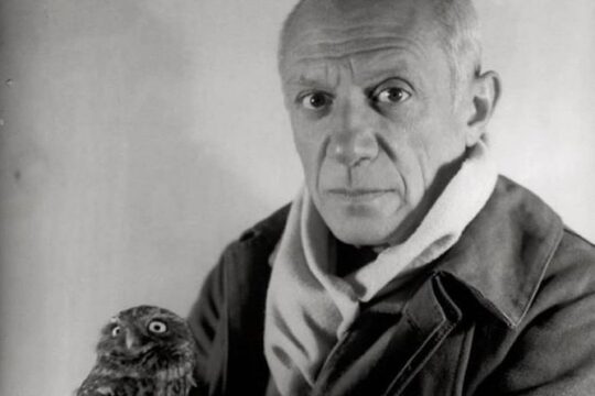 Picasso Museum private tour and walk in El Born district