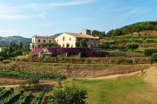 Private Breakfast Winery Experience - Private Wine Tasting Tour