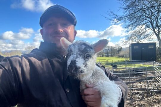 Best Family Fun Irish countryside & Dublin combo private tour