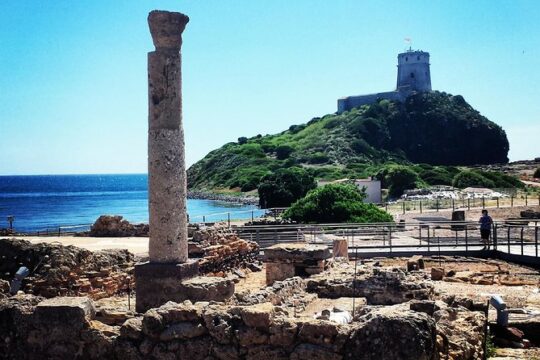 Cagliari Shore Excursion: Archaeological Nuraghe and Nora Tour