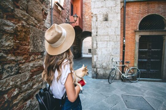 Gems of Pisa Private Walking Tour