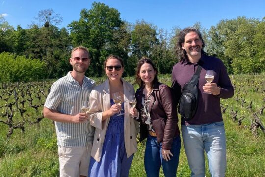 Loire Valley Castles and Wineries Private VIP Day Trip with Lunch