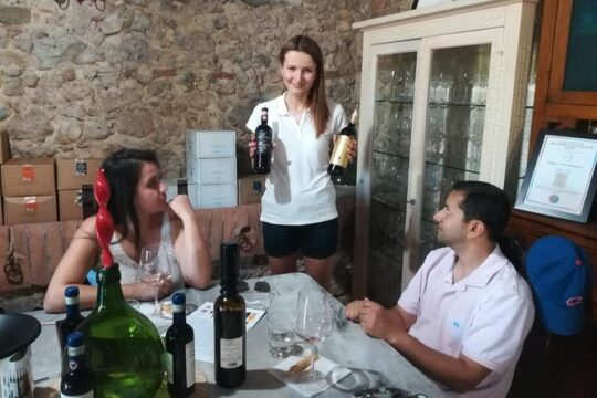 Wine Cheese and EVO Oil Tastings Southern Tuscany Fullday from Rome