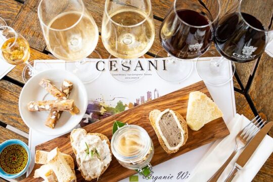 "Gourmet" Wine Tasting at Cesani's