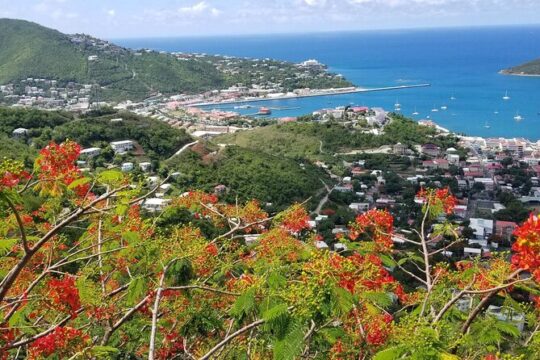 St. Thomas Shopping And Sightseeing Tour