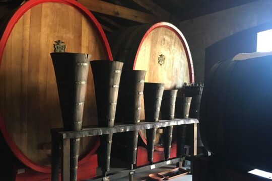 Private Wine, Evo Oils & Balsamic Vinegar Experience with Meal