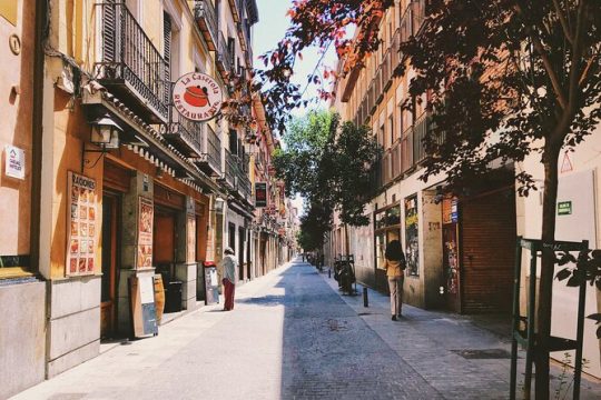 Madrid Private Full Day Tour with driver, guide and tickets