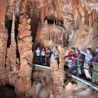 Shore Excursions