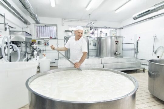 Dolce Vita Tour with Cheese, Olive Oil and Wine Experiences