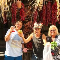 Bus & Minivan Tours
