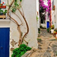 Cruises, Sailing & Water Tours