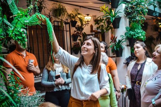 The best of Córdoba private tour