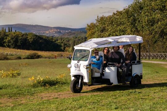 Private Wine Tuk Tour Siena